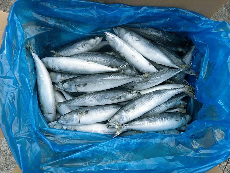 Poisson